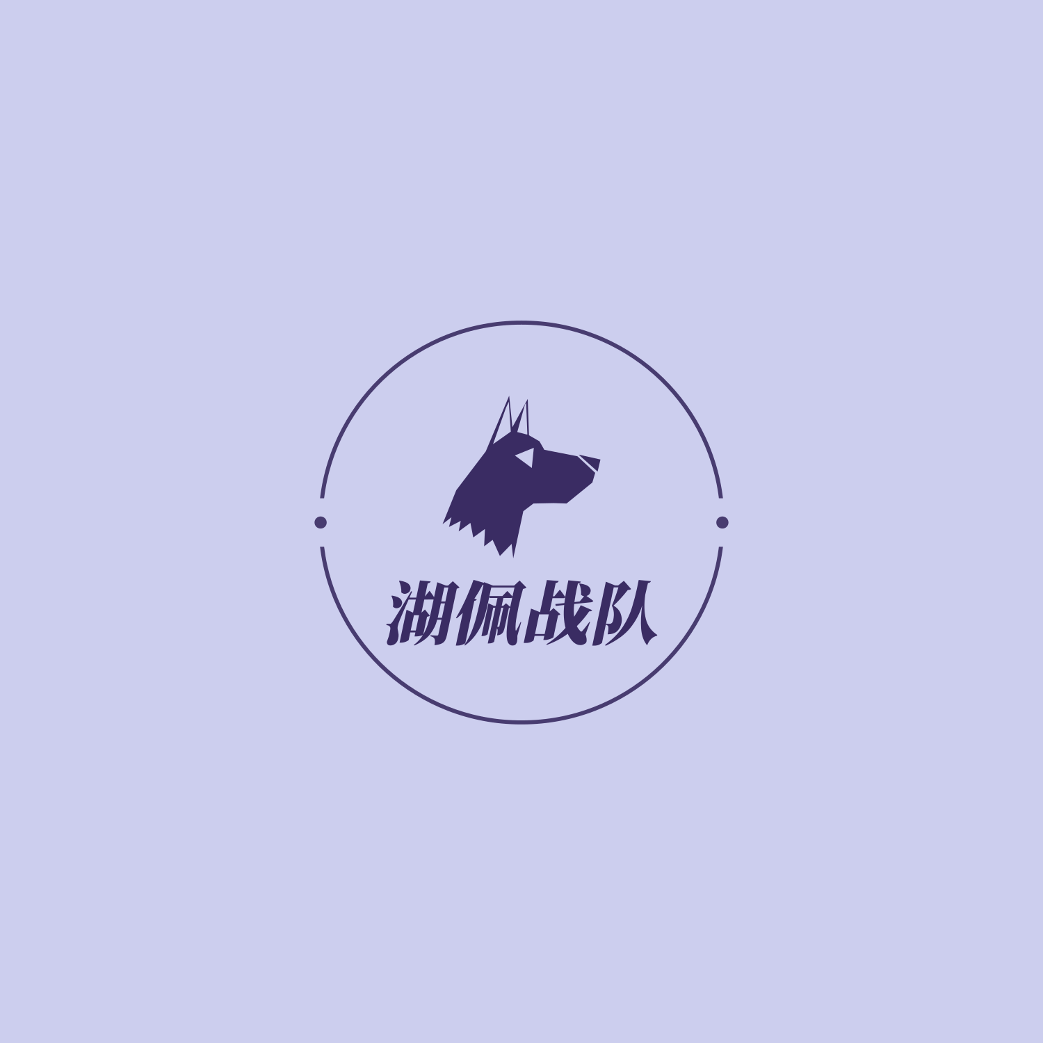 湖佩战队LOGO